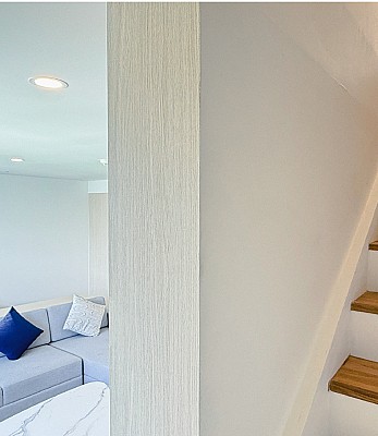 Duplex Premier Suite